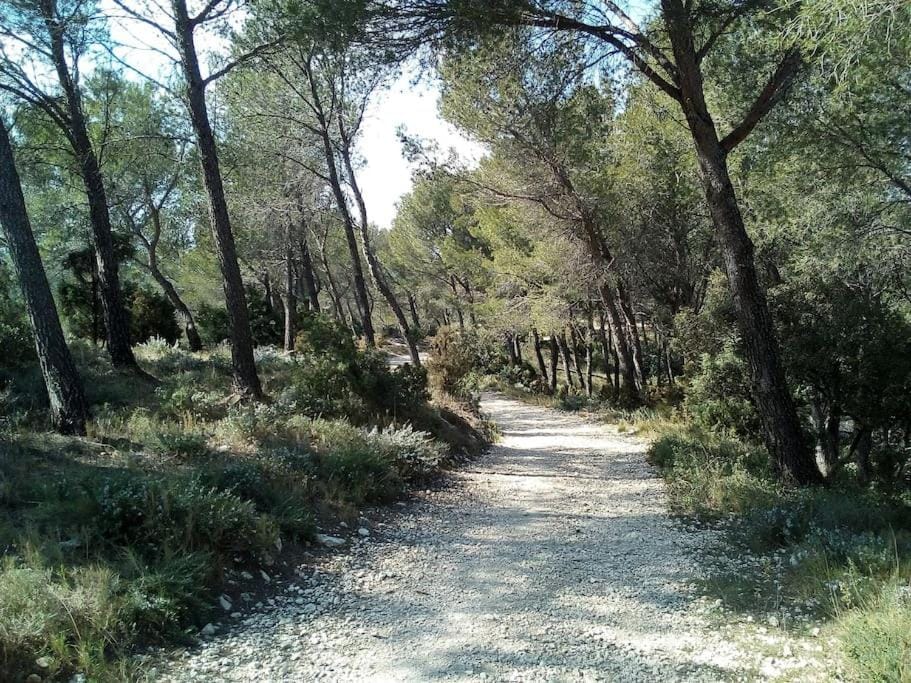 Single storey 40m² bordering pine forest and spa Apartment in Provence-Alpes-Côte d'Azur
