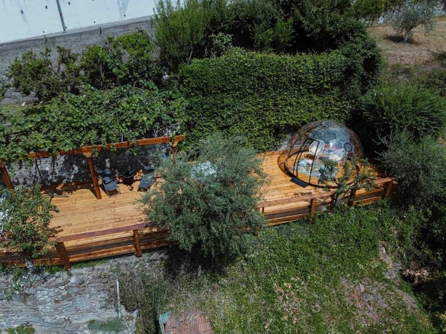 Day, Natural landscape, Garden, Garden view
