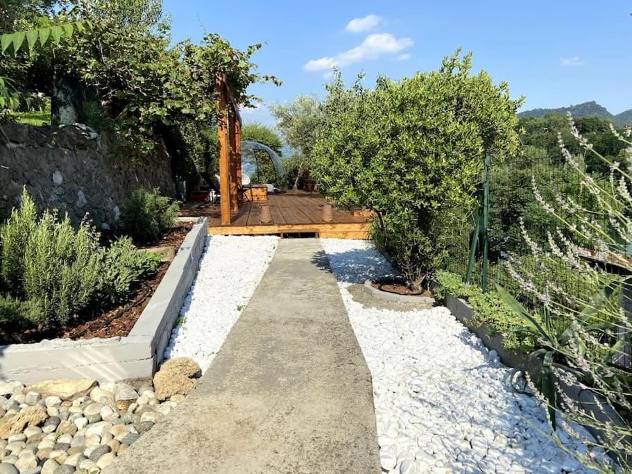 Day, Garden, Garden view