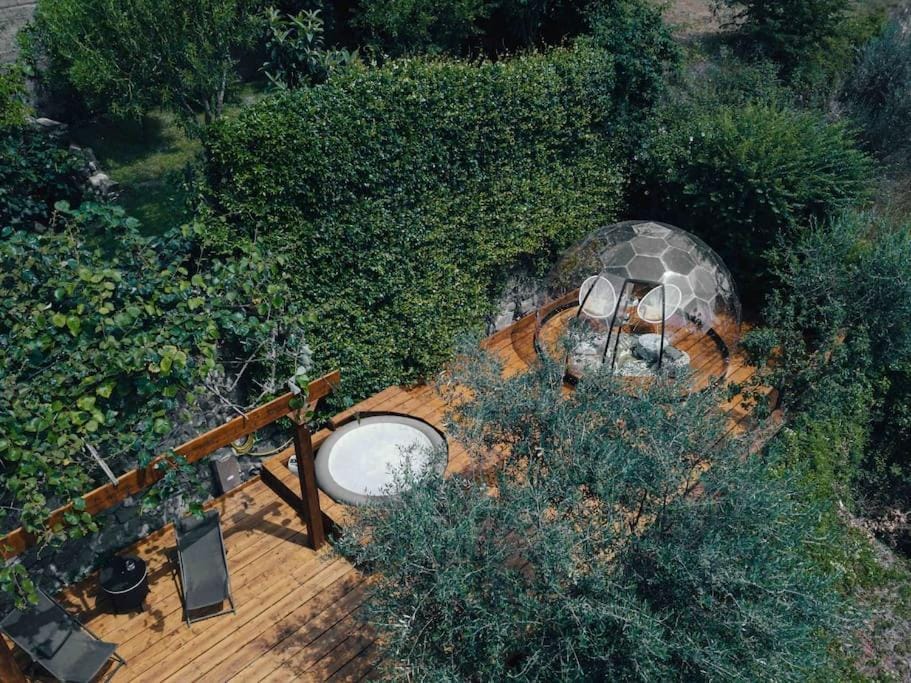 Day, Natural landscape, Garden, Garden view