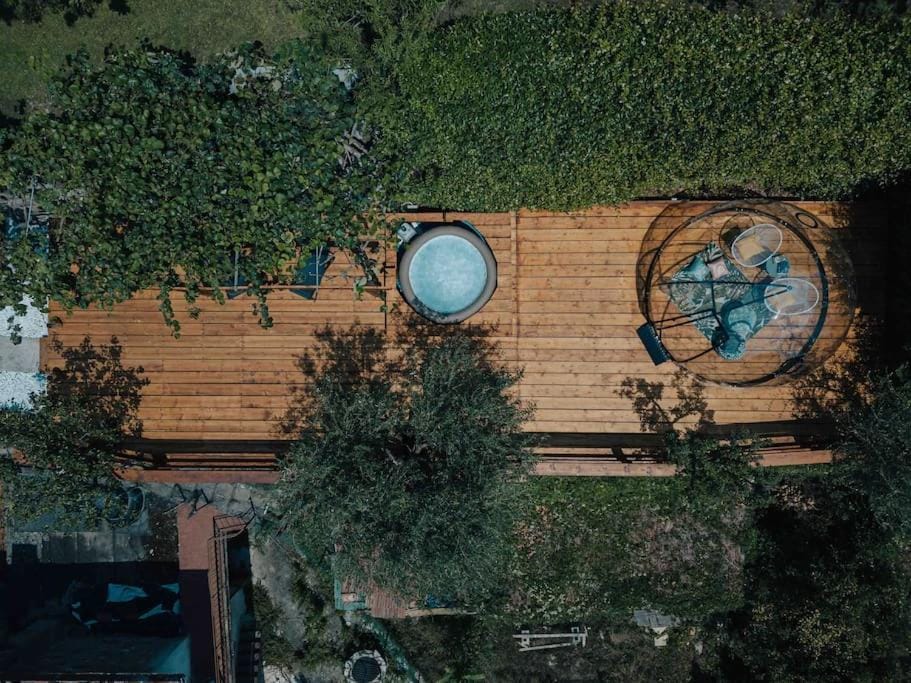 Bird's eye view, Garden, Garden view