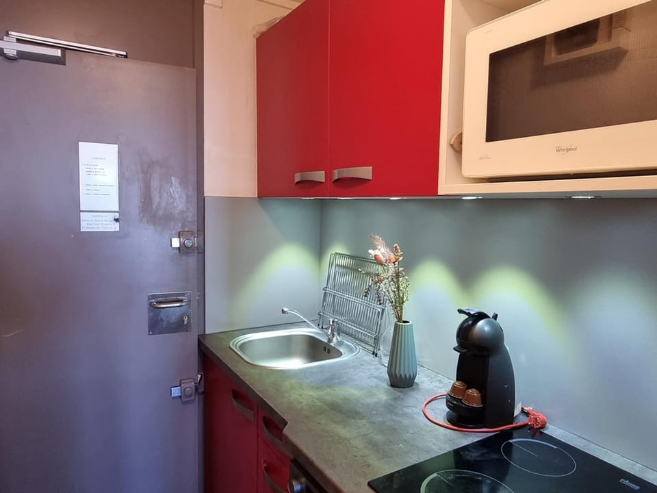 Appartement cosy au pied des pistes - Vue Mont-Blanc - Animaux admis - FR-1-181-2700 Apartment in Mâcot-la-Plagne