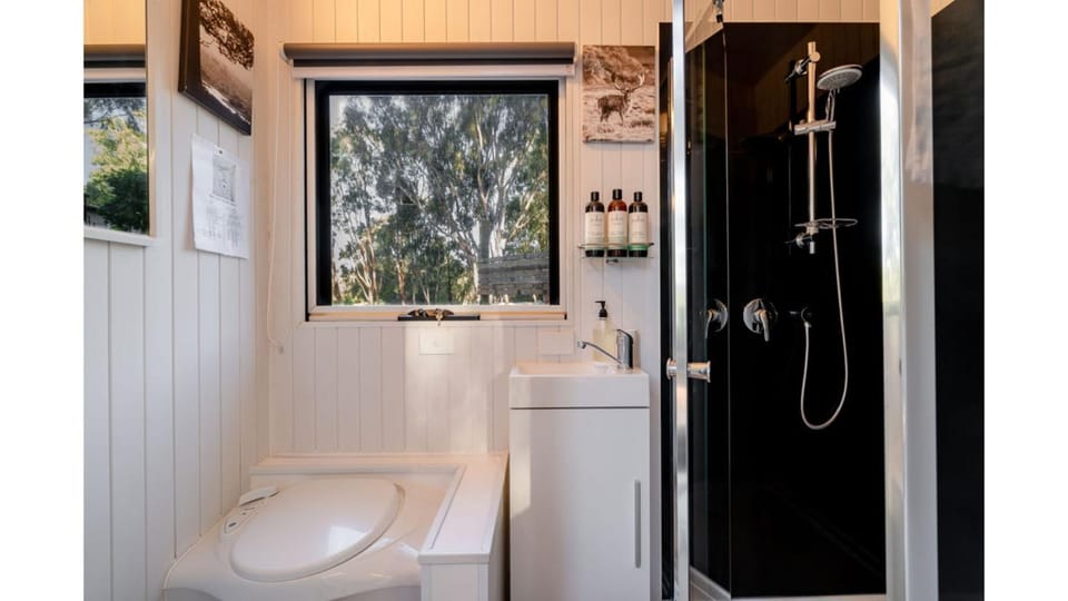 Shower, Toilet