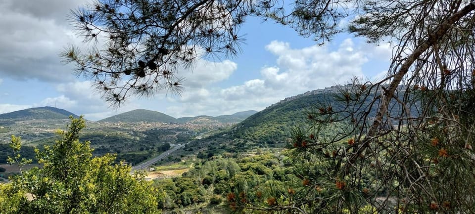 Natural landscape