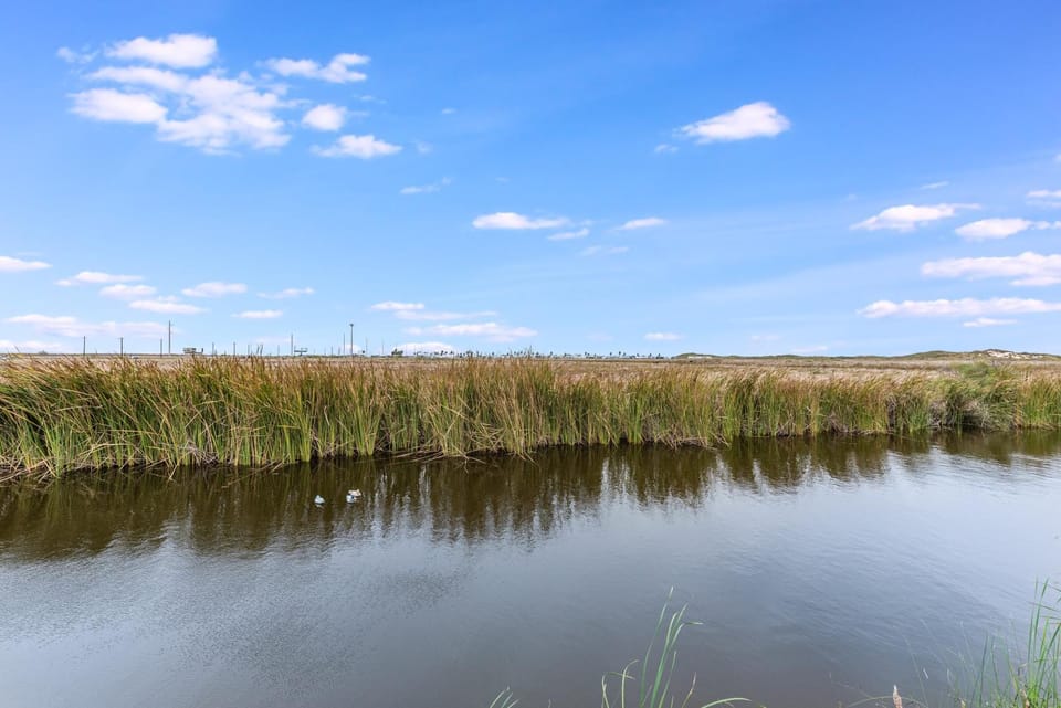 Natural landscape