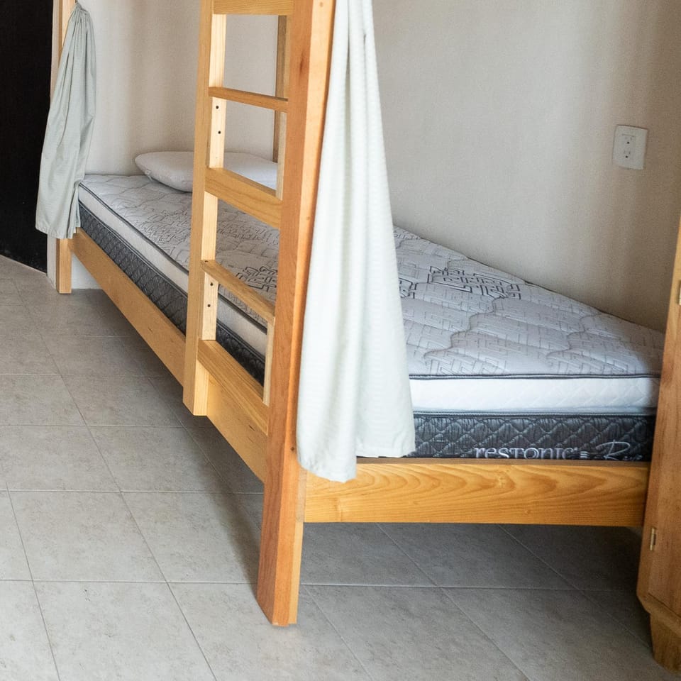 Nido Colibrí - Private Rooms and hostel Dorms in Remate de Paseo Montejo Hotel in Merida