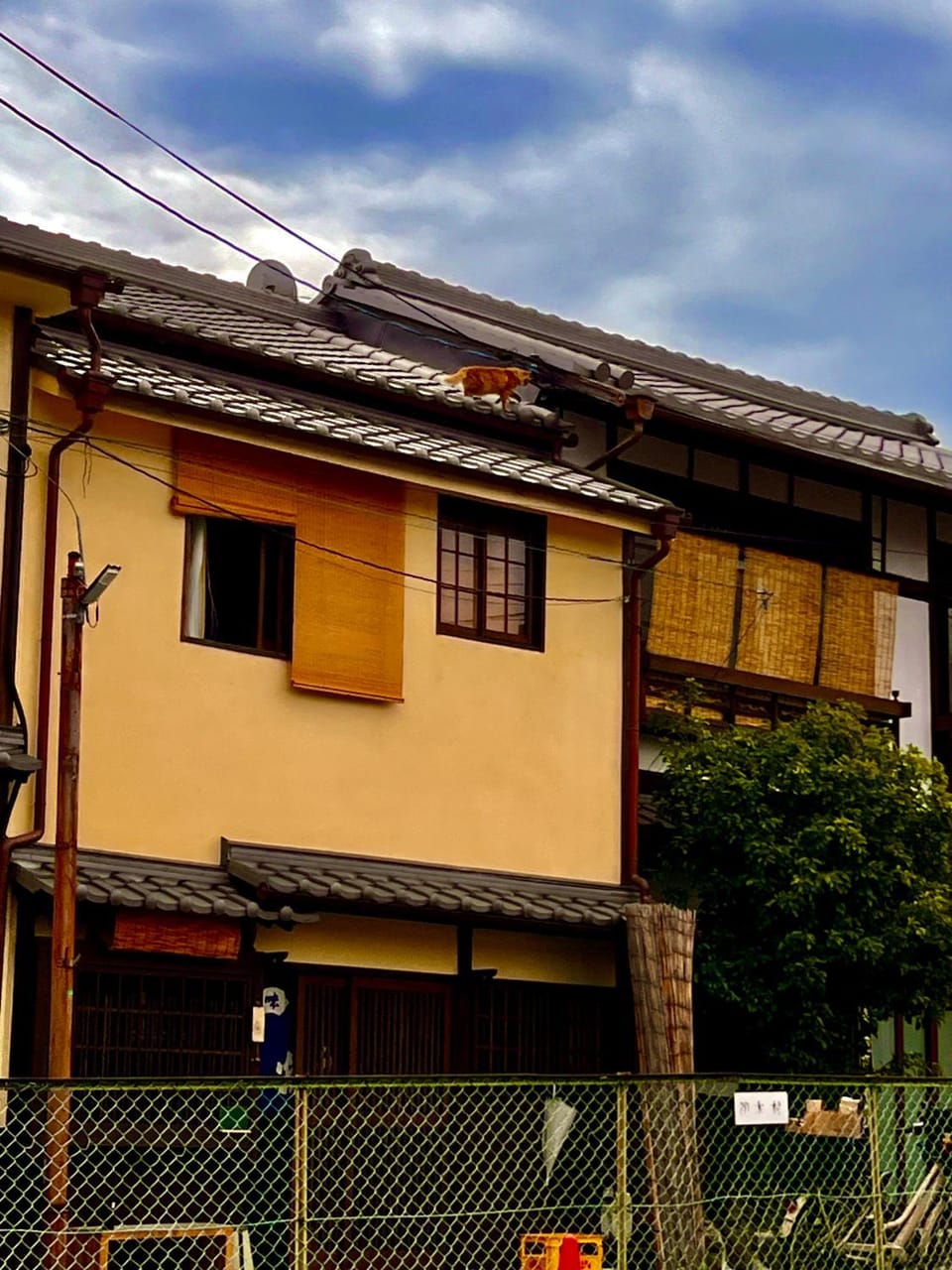 Dormitory Omitsu Bed and Breakfast in Japan