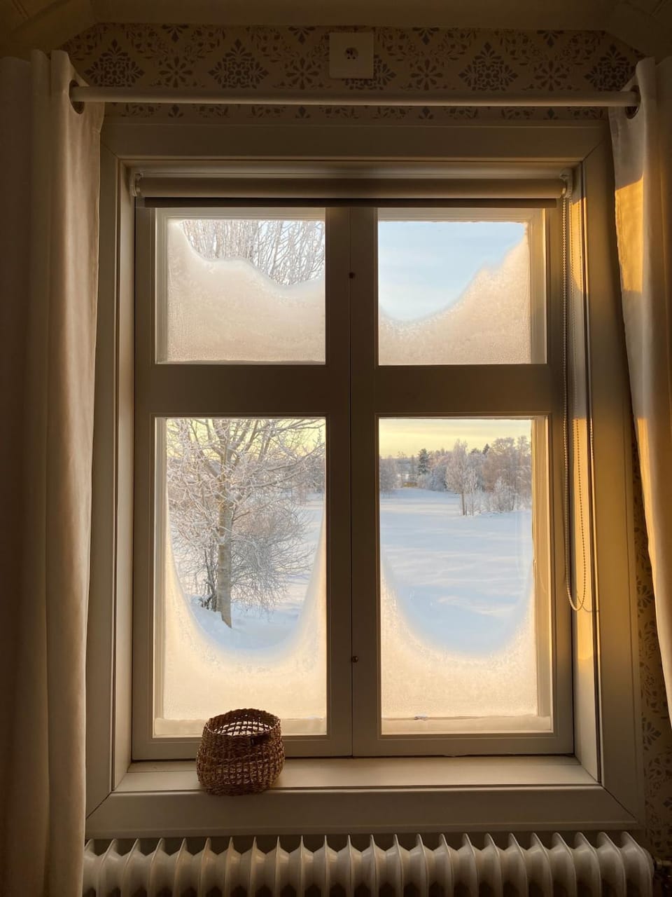 Winter, Garden view