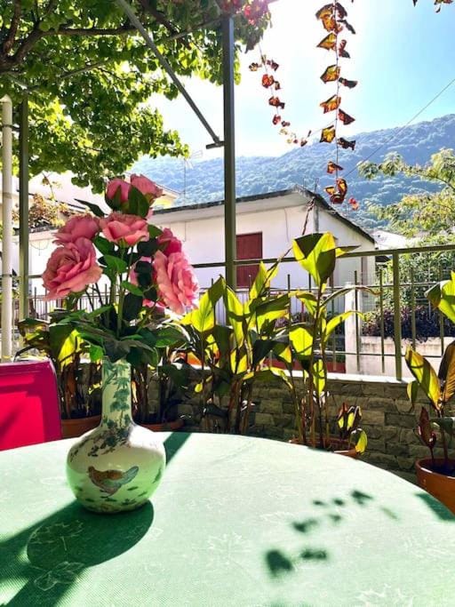 Patio, Day, Garden, Garden view