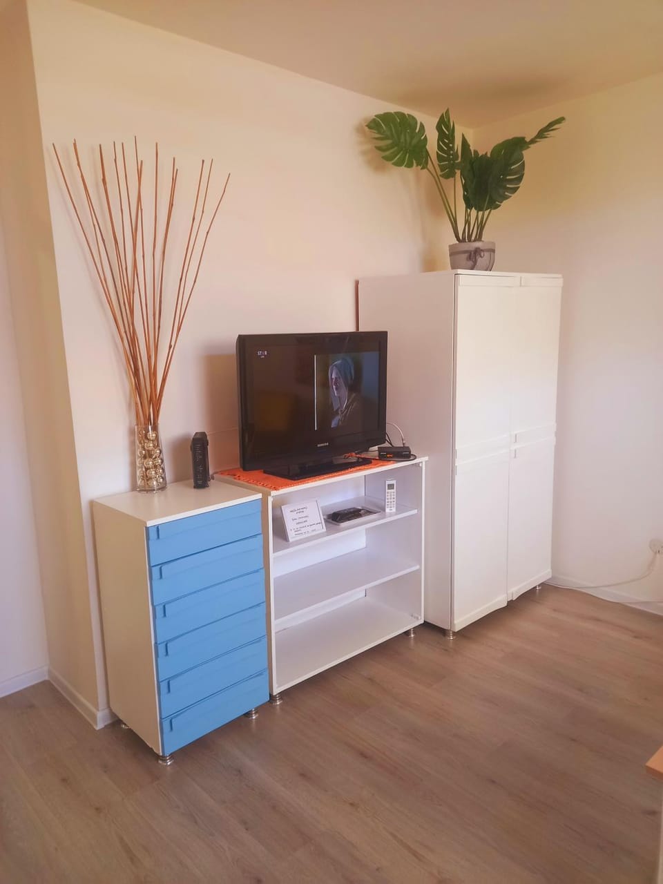 TV and multimedia