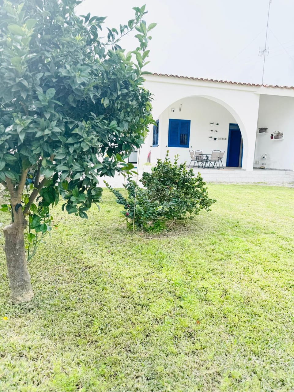 Garden, Garden view