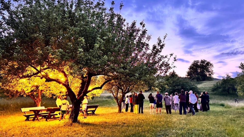 People, Natural landscape, Garden
