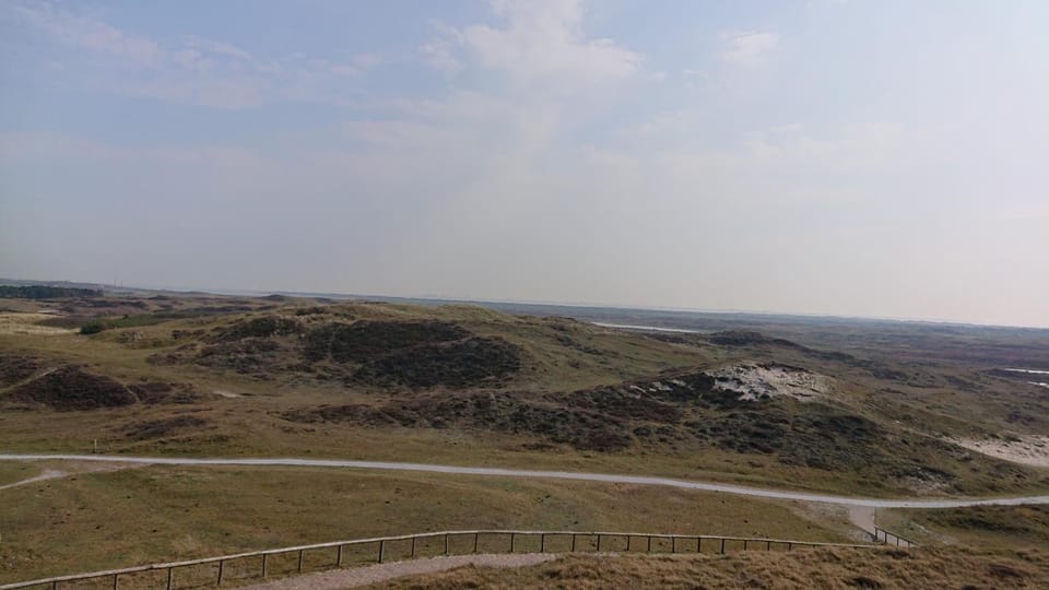 Natural landscape