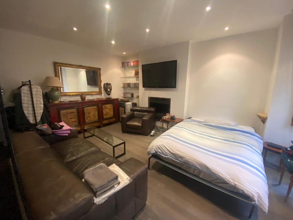 Bed, Living room, Photo of the whole room, Seating area, Bedroom