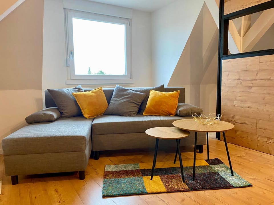 Platzhirsch Apartment in Strasbourg