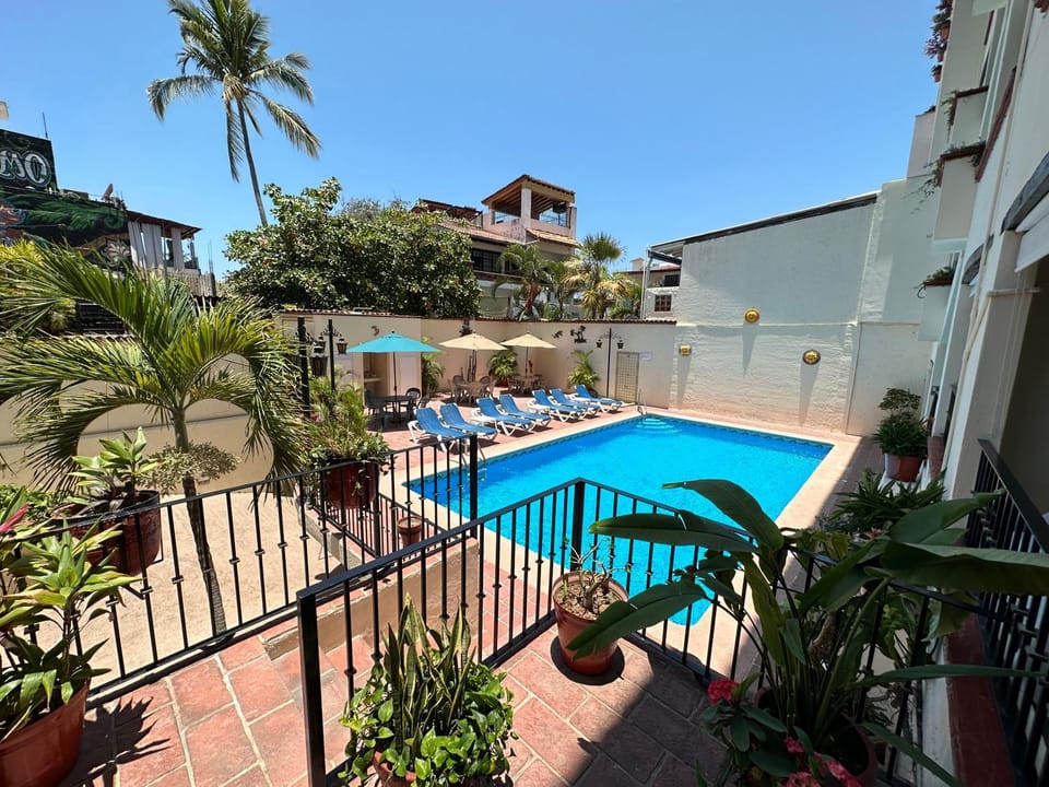 Patio, Garden, Balcony/Terrace, Pool view, Swimming pool, sunbed