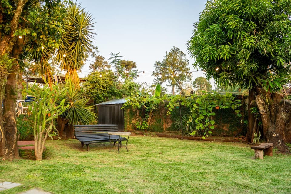 Natural landscape, Garden