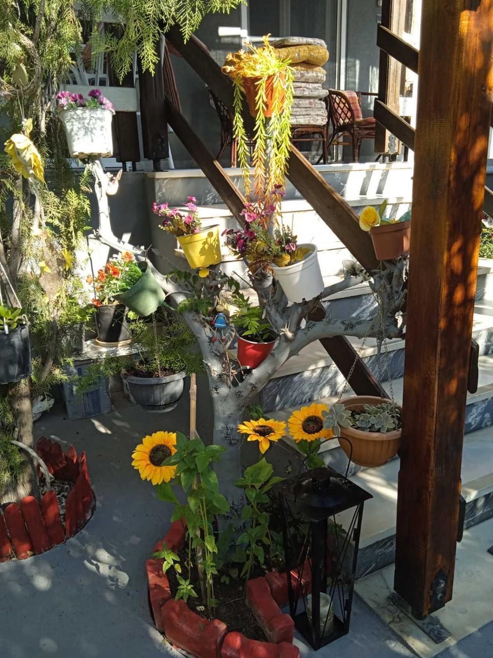 Garden, Garden view