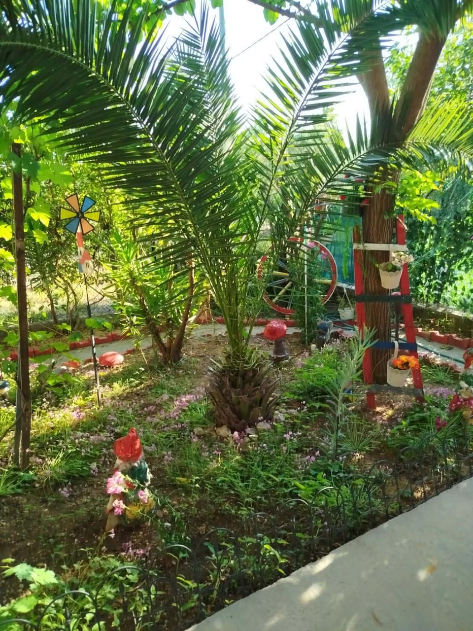 Garden view