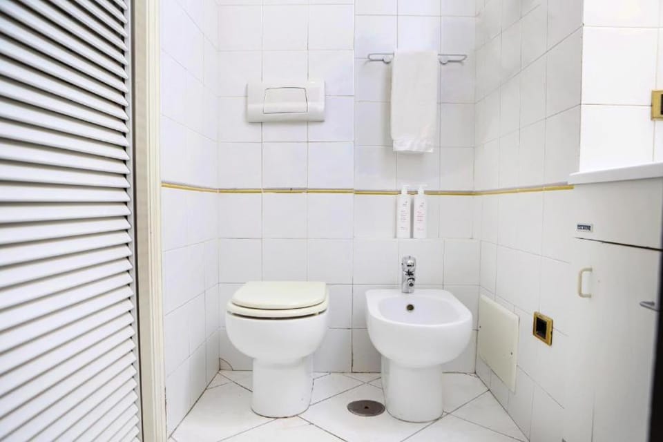 Toilet, Bathroom, bidet