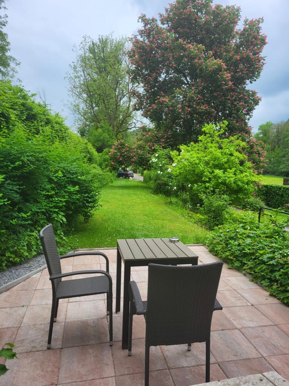 Spring, Day, Natural landscape, Garden, Seating area, Garden view