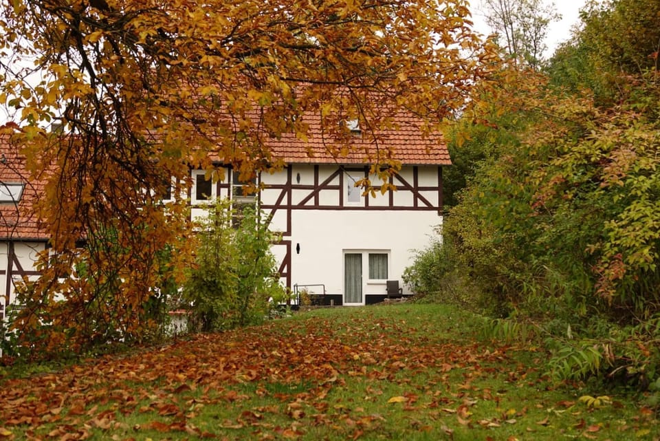 Property building, Day, Garden, Autumn