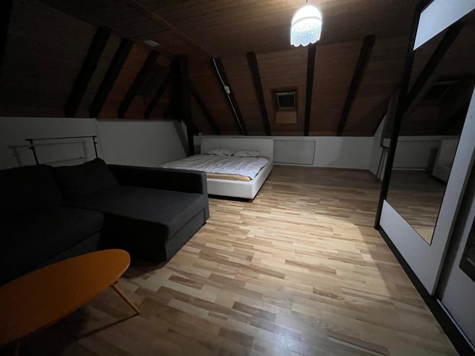 Private room for long term rent 1000-1200CHF per month Bed and Breakfast in Canton of Bern (Region)