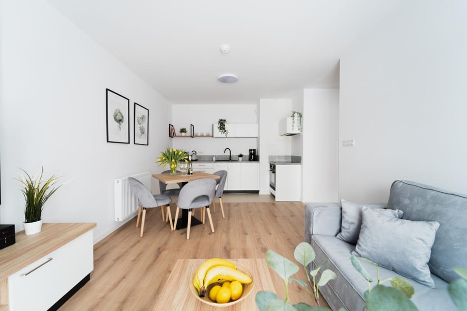 Kitchen or kitchenette, Living room, Dining area