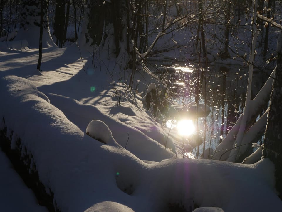 Day, Neighbourhood, Natural landscape, Winter