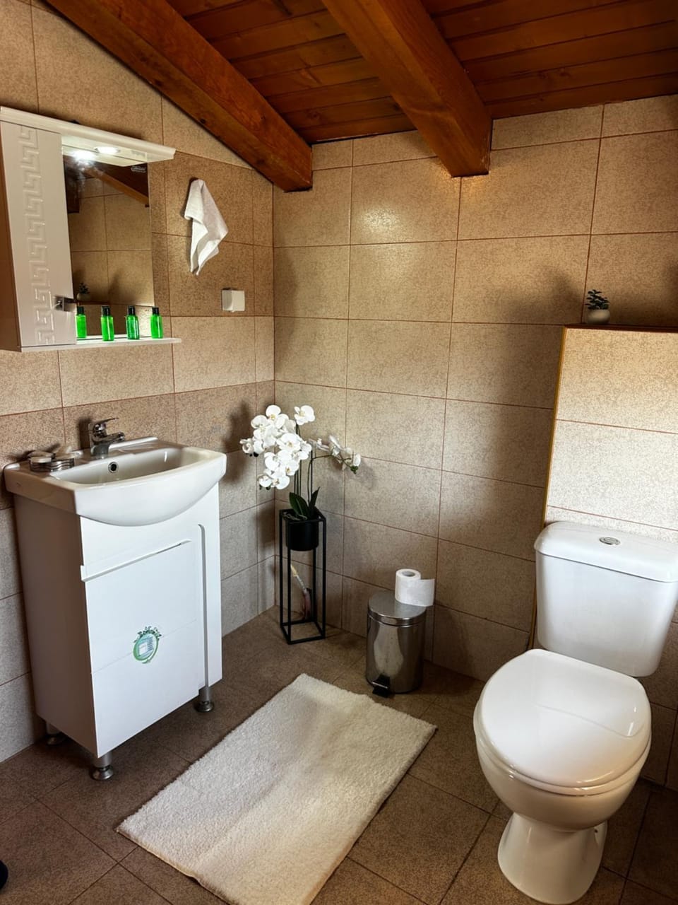 Snow House Bed and Breakfast in Bansko