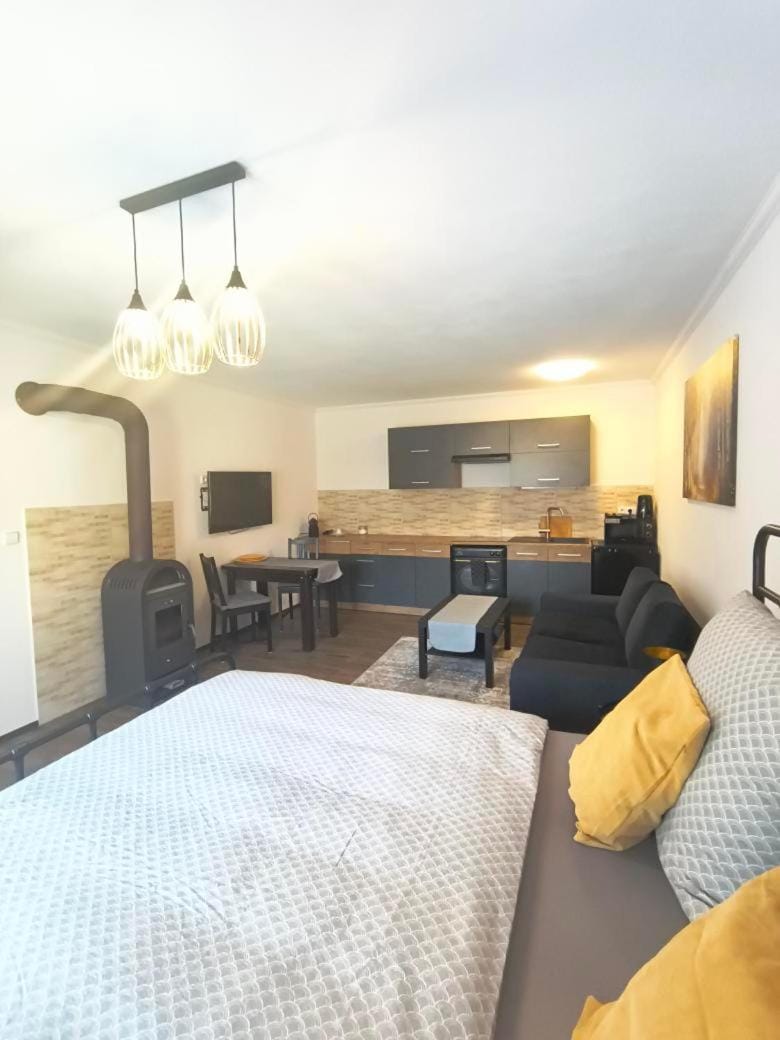 apartmán 1kk Zlámanka Apartment in South Moravian Region