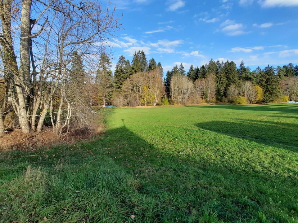 Natural landscape