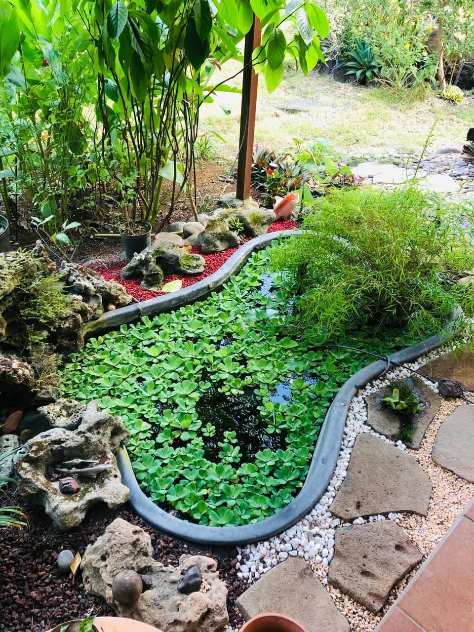 Day, Garden