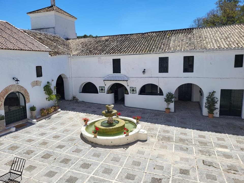Patio, Balcony/Terrace