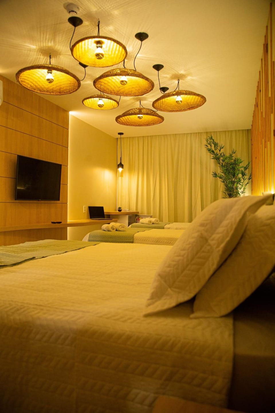 Bed, TV and multimedia, Photo of the whole room, Bedroom