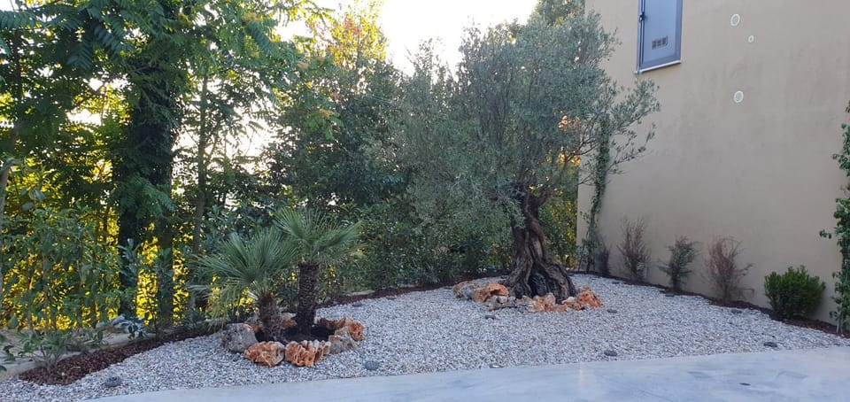 Vinea del Selvatico cascina agricola Bed and Breakfast in Campania