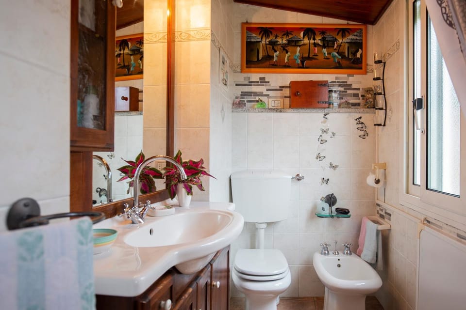 Toilet, Bathroom, bidet