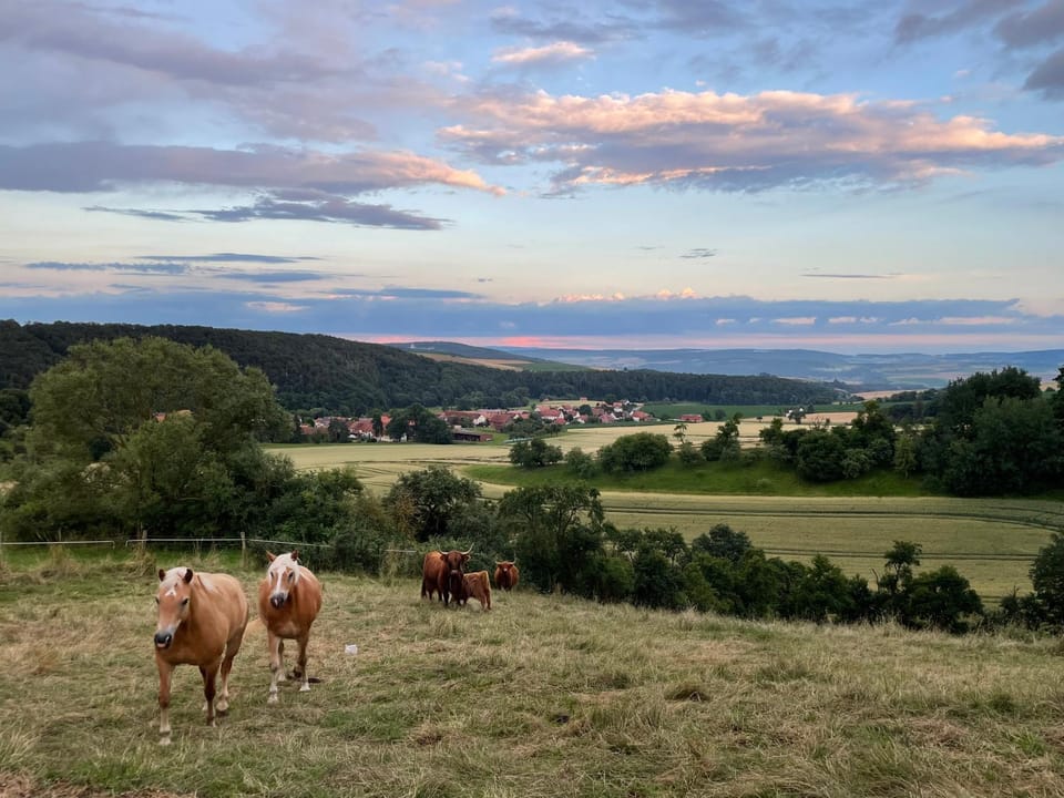 Natural landscape