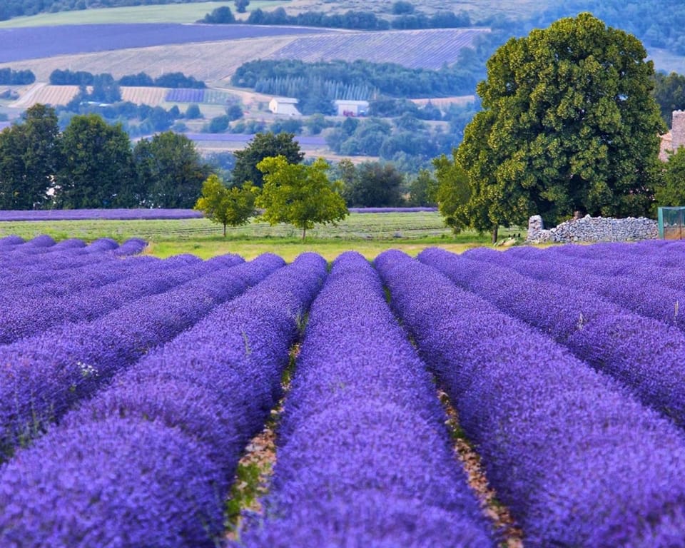 Nearby landmark, Natural landscape