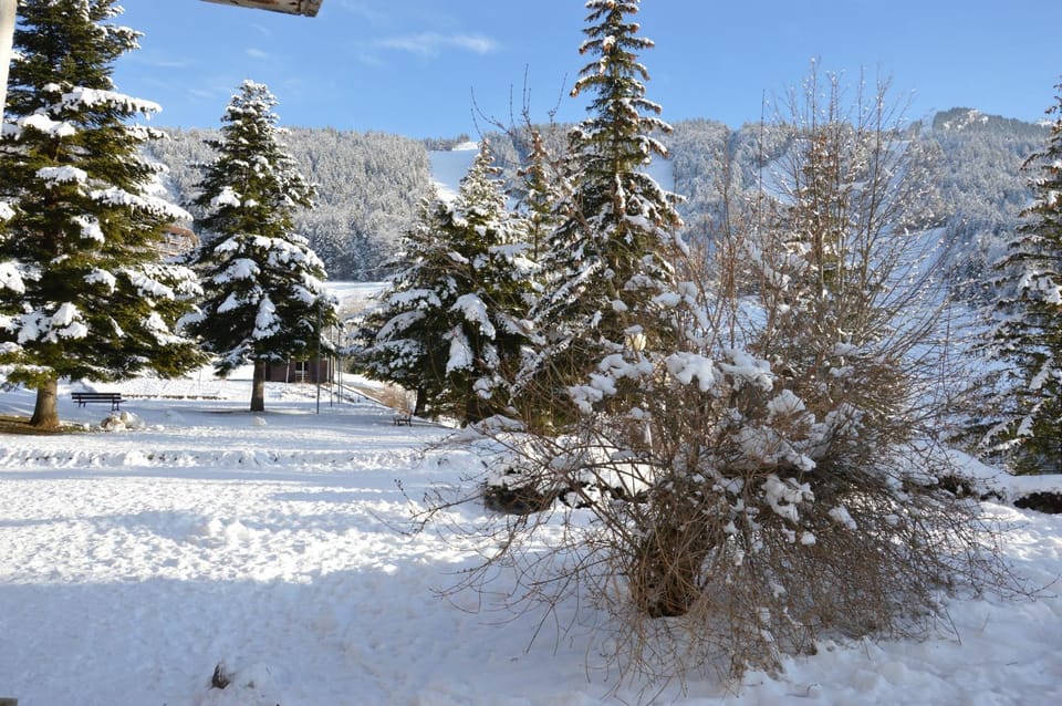 VILLARD DE LANS Apartment in Provence-Alpes-Côte d'Azur