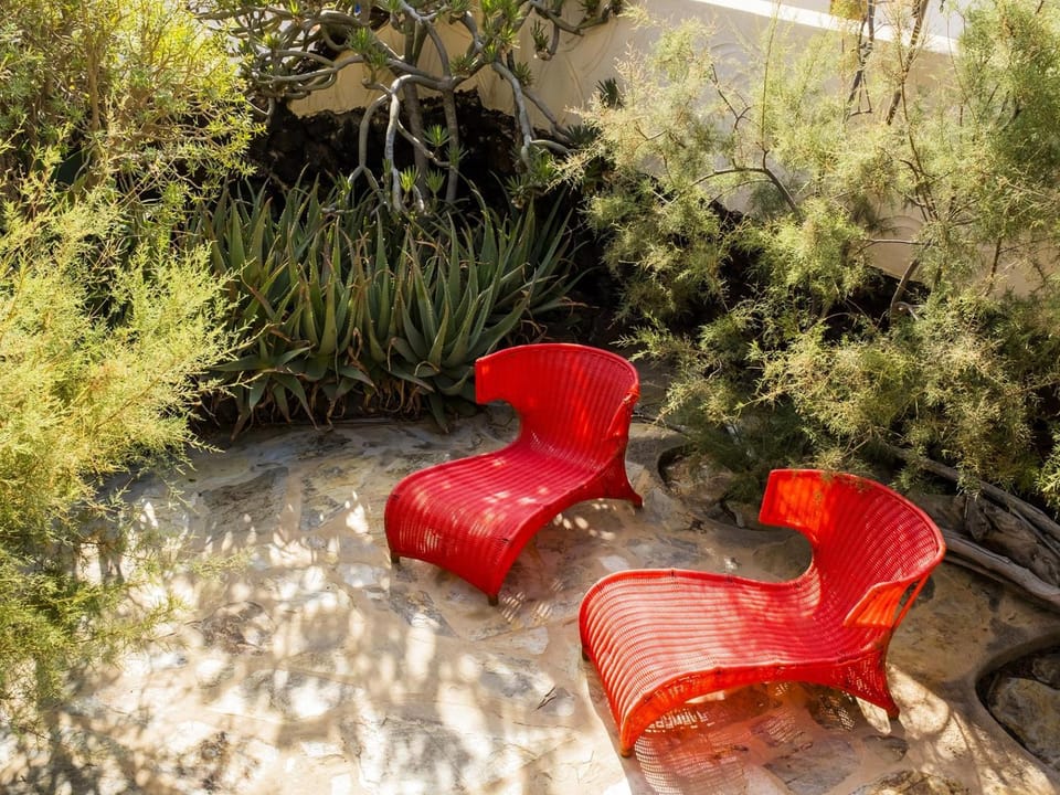 Patio, Garden, sunbed