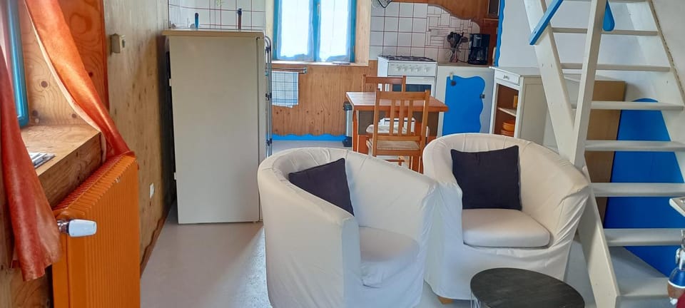 Living room, kitchen