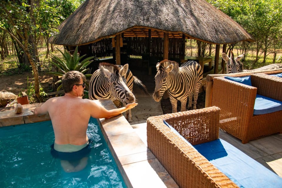 Pool view, Pool view, Swimming pool, Swimming pool, Swimming pool