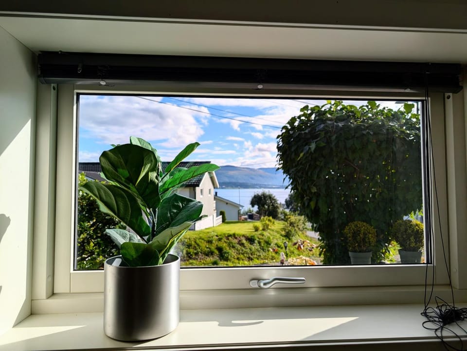 Aurora rooms in shared apartment nr1 We are doing privet northen light trip, reindeer trip and sommaroy Fjord trip Bed and Breakfast in Tromso