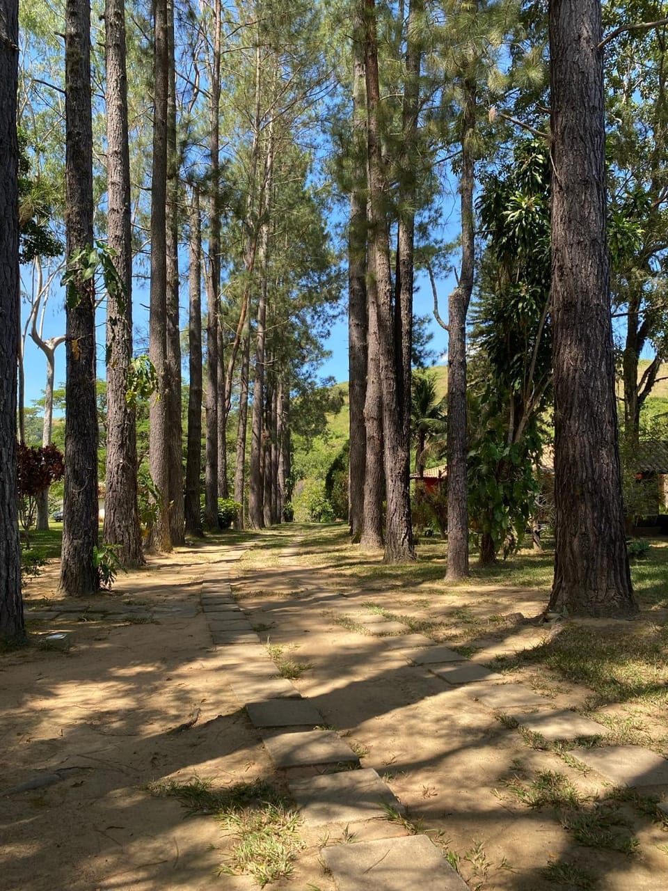 Casa de Campo sítio NSra Aparecida House in State of Rio de Janeiro