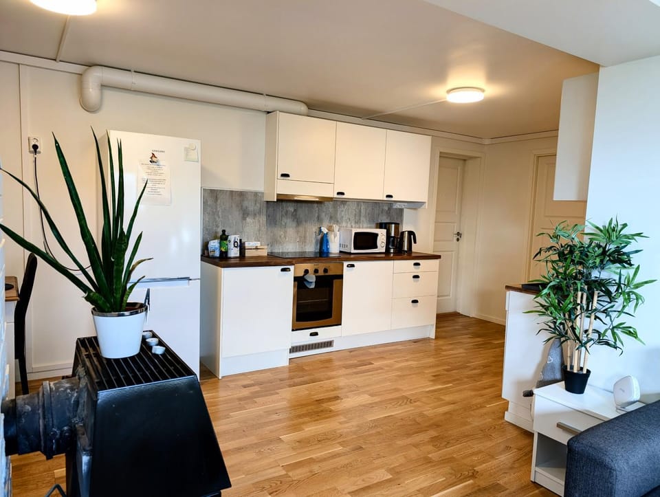 Aurora rooms in shared apartment nr2 We are doing privet Northen lights trips, reindeer trip and Fjord sommaroy trip Bed and Breakfast in Tromso