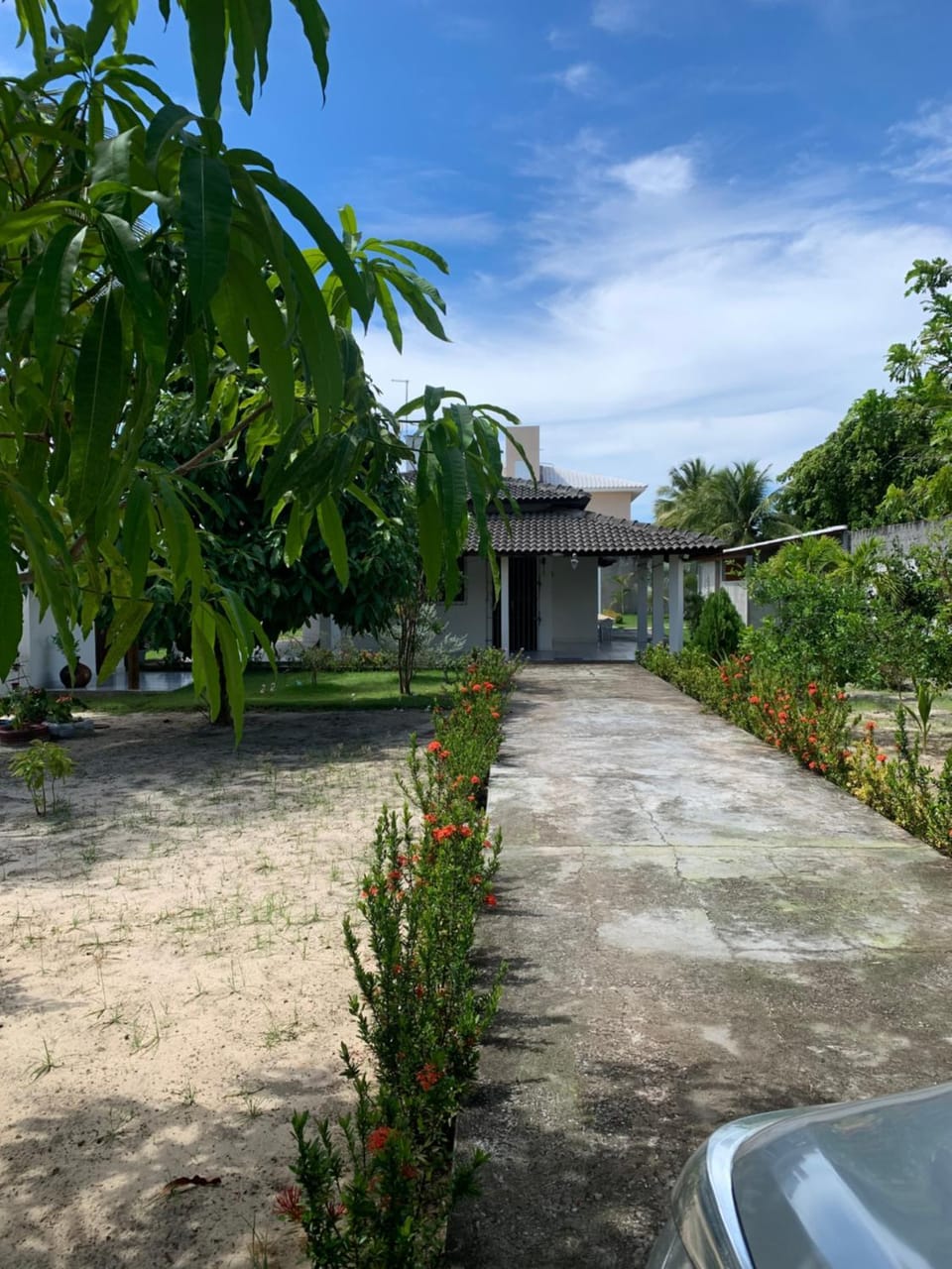Garden view