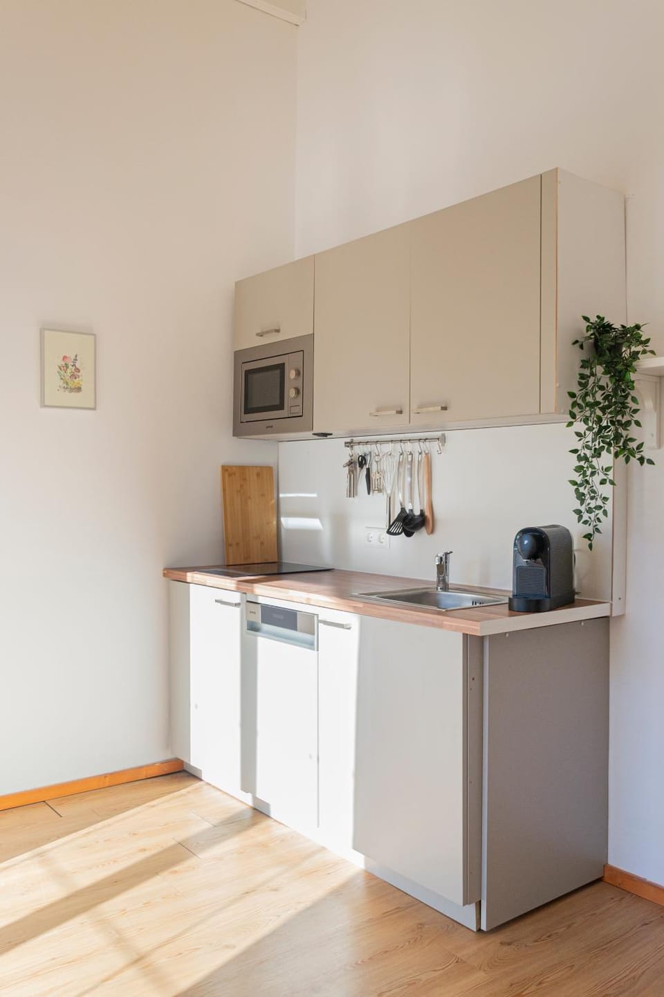 Kitchen or kitchenette, dishwasher, stove, toaster