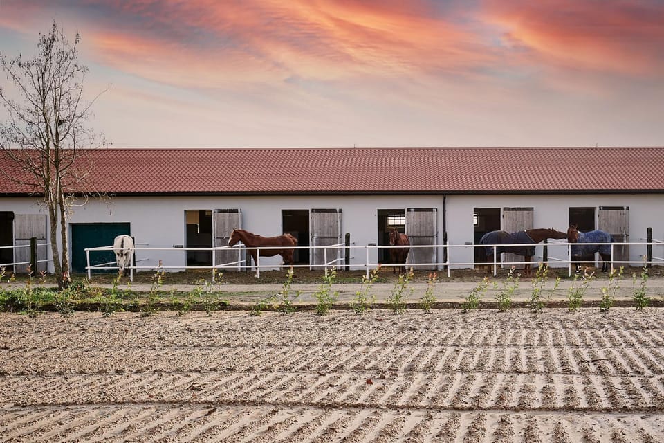 Brussa Horse Oasi Farm Stay in Friuli-Venezia Giulia
