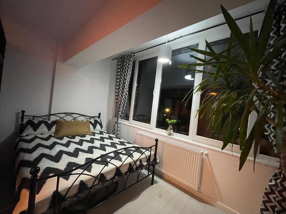Garsonieră Ultracentrală Petroșani Valea Jiului Apartment in Romania